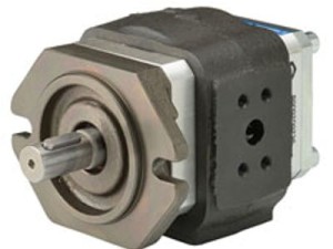 EIPH2-004-RK03-1X Pompa zębata