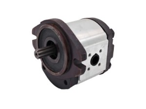 2PZ4-22/22-E86 Pompa zębata